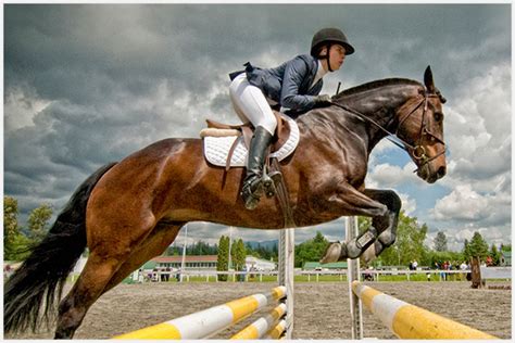 Equestrian Events .